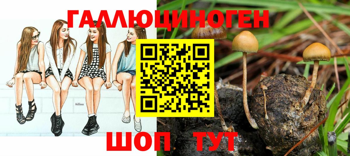 Камень-на-Оби  Галлюциногенные грибы Magic Shrooms  Вход с VPN 
