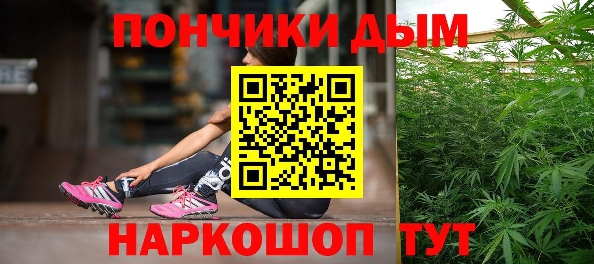 Бошки Шишки семена Камень-на-Оби